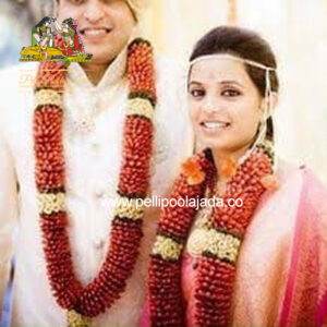 Poola Dandalu (PD61)