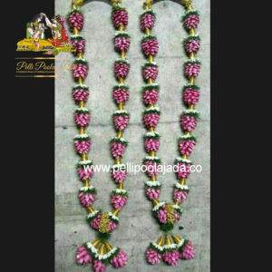 Poola Dandalu (PD62)