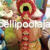 Bridal pellipoolajada