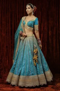 Top 10 Half Saree Lehenga Designs for South Indian Brides 9 Lehenga Half Saree Designs