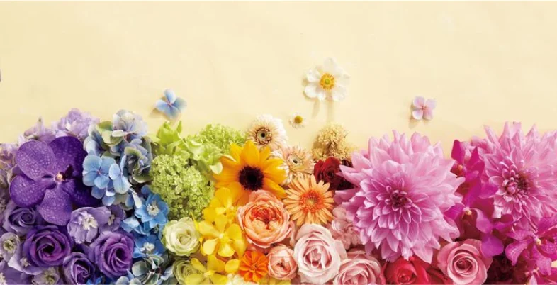 Seasonal Flowers for Poolajada